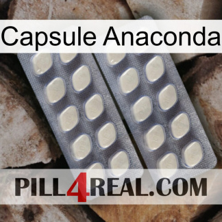 Anaconda Capsule 07